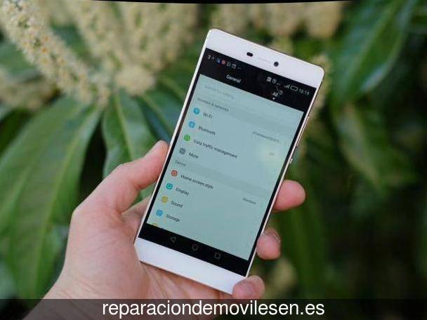 Reparación de móviles en Cañaveruelas