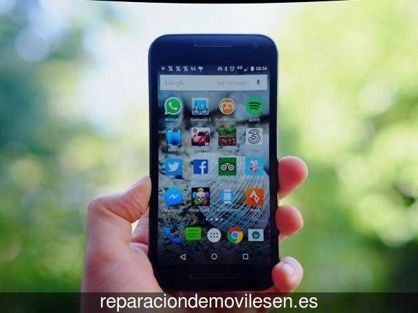 Reparación de móviles en Campos del Río
