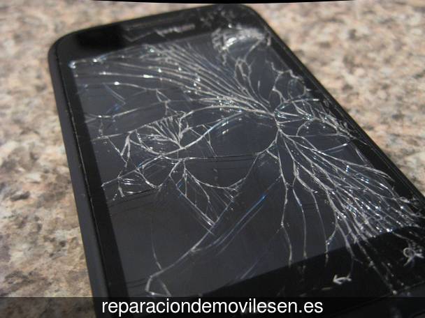 Reparar teléfono móvil en Santovenia de la Valdoncina