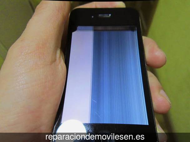 Reparación de móvil en Villarta de los Montes