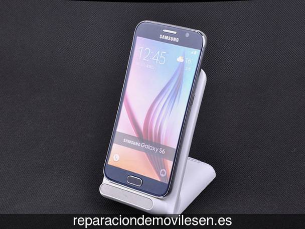 Reparación de teléfono móvil en Lanjarón