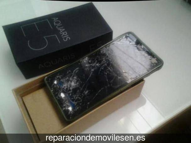 Reparar móvil en Ribeira de Piquín