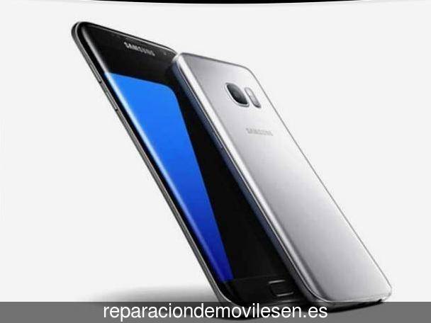 Reparación de móviles en Villanueva del Río y Minas