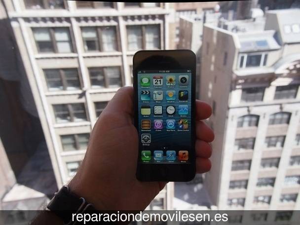 Reparar móvil en Torrequemada