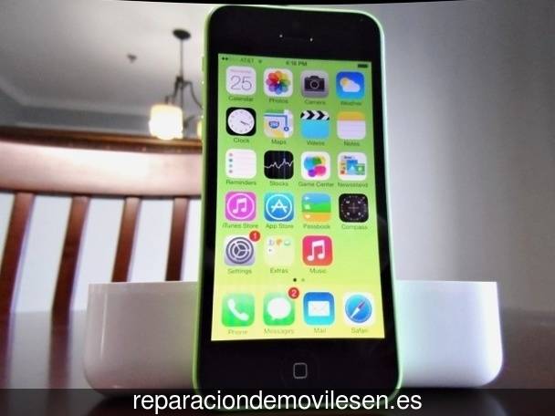 Reparación de teléfono móvil en Rodeiro
