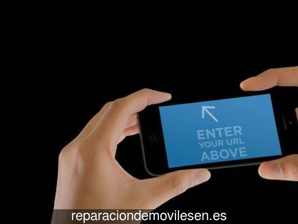 Reparación de móvil en Torremontalbo