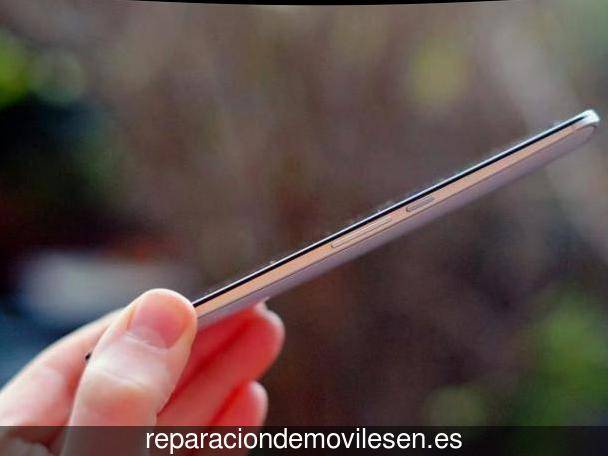 Reparar teléfono móvil en Mañón