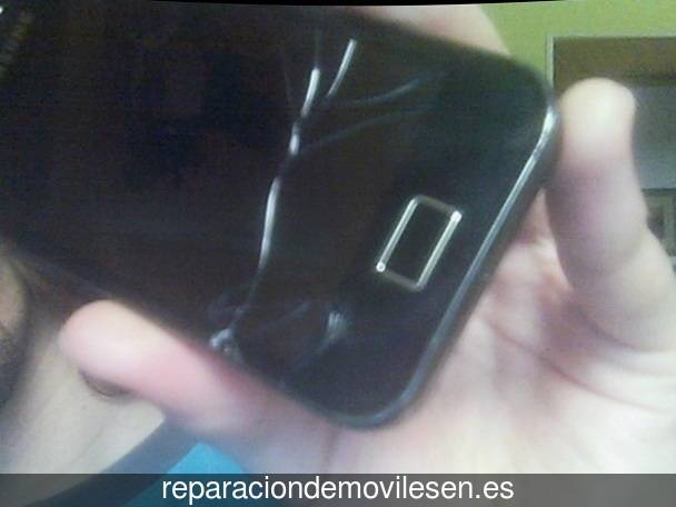 Reparación de teléfono móvil en Leioa